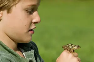 Pickerel: 7 year old boy with Pickerel Frog in hand