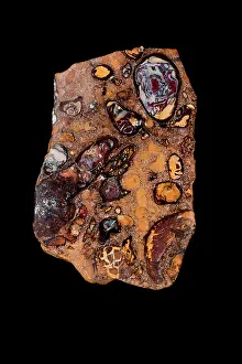 Queensland: 80178942 Boulder Opal Queensland, Australia John