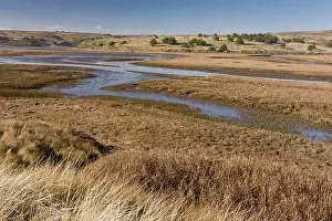 Brackish: 80179079 Saltmarshes - and other habitats Drakes