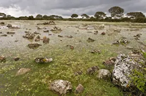 Basaltic: 80179132 Lake - shallow natural lake / pauli with