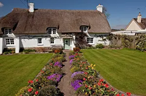 Borders: 80179152 Cottage Garden - with flowery borders