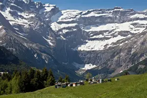 Pyrenees: 80179218 Bee-hives - in hay meadows Cirque de Gavarnie
