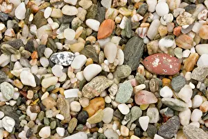 Gravel: 80179325 Multi-coloured Gravel / Pebble Beach Prawle