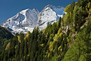 Larix: 80179330 The Dolomites - in autumn looking west