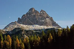 Larix: 80179341 The Tree Cime di Lavaredo / Drei Zinnen