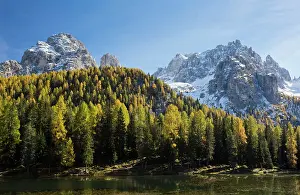 Larix: 80179342 The Cadini di Misurina and Le Cianpedele