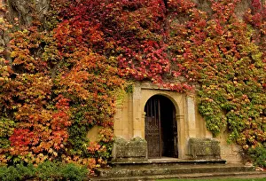 Port: 80179362 Virginia Creeper - covered gateway - Biron