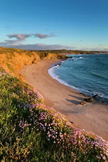 Thrift: 80179657 Gwithian - coastal scene at sunset Cornwall