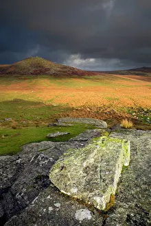 Rough: 80179695 Rough Tor Bodmin Moor, Cornwall, UK David