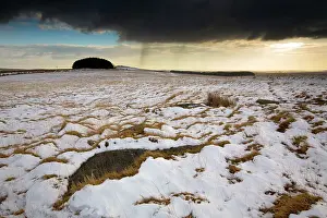 Rough: 80179699 Rough Tor Bodmin Moor, Cornwall, UK David