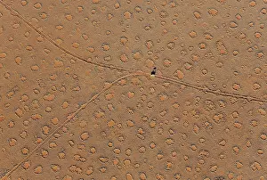 Termite: 80180314 Namib Desert - vehicle crossing sandy plain