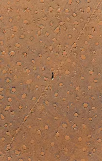 Termite: 80180315 Namib Desert - vehicle crossing sandy plain