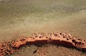 Termite: 80180319 Namib Desert - with so-called Fairy Circles