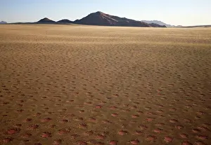 Silence: 80180321 Namib Desert - with so-called Fairy Circles