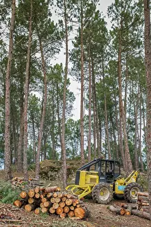 Issues: 80180516 Lumber Industry - tractor moving logs on