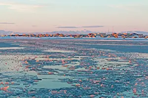 Pack: 80181523 Frozen lagoon and sea pack ice formation