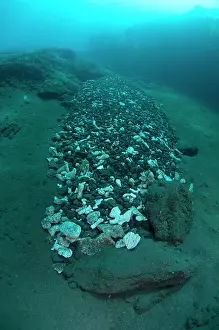 Cauldron: 80182175 Volcanic scree - underwater flow Cauldron