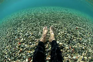 Model: 80182243 Pebble Beach - legs of diver (model released)