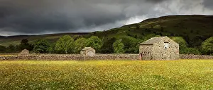 Guy Rogers: 80183310 Barns - in buttercup meadow under moody