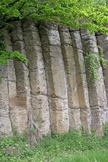 Pipe: 80183321 Organ Pipe Basalt Columns - of rock Buhren