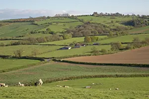Cotswolds: 80183328 Farm Colemans Hill, Mickleton, The Cotswolds
