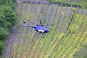 Helicopter: 80183334 Helicopter - spraying vineyards Mosel Valley