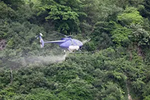 Helicopter: 80183335 Helicopter - spraying vineyards Mosel Valley