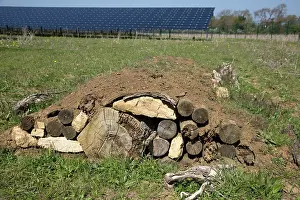 Artificial: 80183336 Hibernaculum - artificial mound of logs