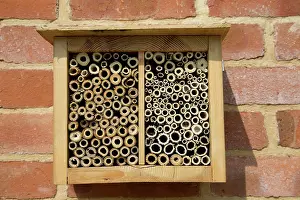 Scrap: 80183340 Insect Hotel - made of scrap timber on