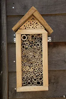 Scrap: 80183341 Insect Hotel - made of scrap timber on