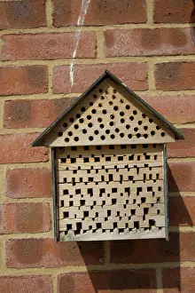 Scrap: 80183342 Insect Hotel - made of scrap timber on
