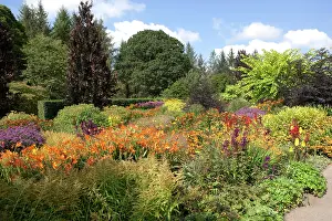 Royal: 80183387 The Hot Garden Royal Horticultural Society
