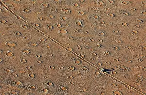 Termite: 80183533 Aerial View - vehicle of balloon ground