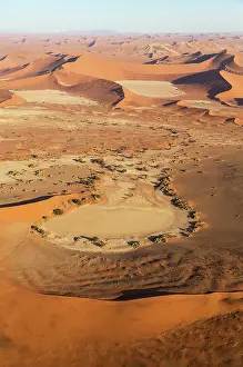Camelthorn: 80183554 Sand Dunes - the famous Sossusvlei at the