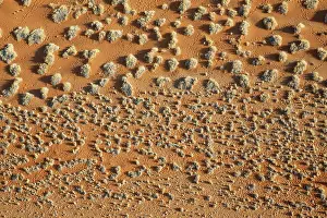 Scrub: 80183561 Grass-grown Sandy Plains - aerial view