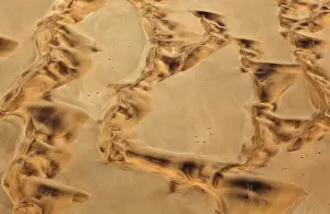 Tracks: 80183562 Sand Dunes - the recognizable tracks probably