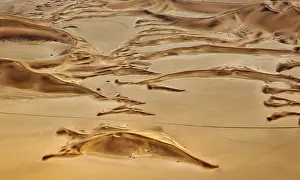 Tracks: 80183564 Sand Dunes - the recognizable tracks probably