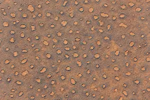 Termite: 80183565 Aerial View - sandy plain - with so-called