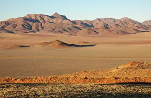 Isolation: 80183571 Sand Dunes - grown with bushman grass (Stipagrostis