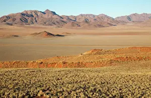 Isolation: 80183572 Sand Dunes - grown with bushman grass (Stipagrostis