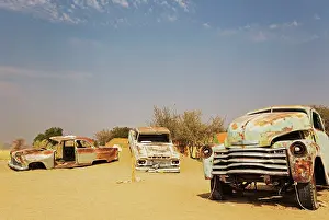 Isolation: 80183580 Scrapped Cars - at the hamlet of Solitaire