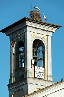 Churches: 80183995 White Stork - nesting on parish church