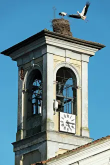 Churches: 80183996 White Stork - nesting on parish church