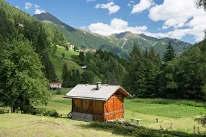 Adige: 80184008 The Alps Stelvio National Park, Rabbi Valley