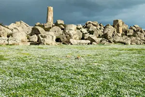 Sicily: 80184015 Sweet Alyssum Flowers - archaeological