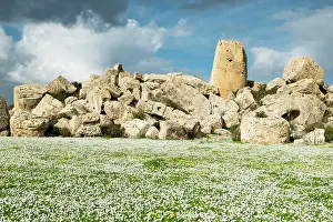 Sicily: 80184016 Sweet Alyssum Flowers - archaeological