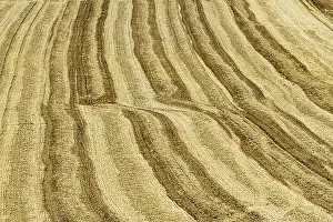 Harvesting: 80184019 Crops - harvesting fields Sancerre, France