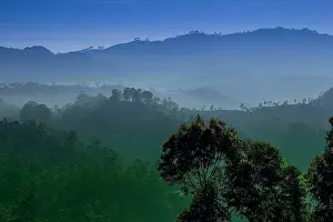 Forrest: 80184024 Mountains Enna, Sri Lanka Agenzia Giornalistica