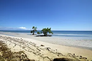 Viewpoints: 80184026 Beach Siquijor Island, Philippines Agenzia