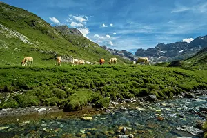 Mountainside: 80184036 The Cirque Of Estaube Hautes Pyrenees
